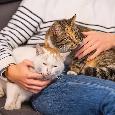 Swietego Jozefa Chrzypsko Wielkie