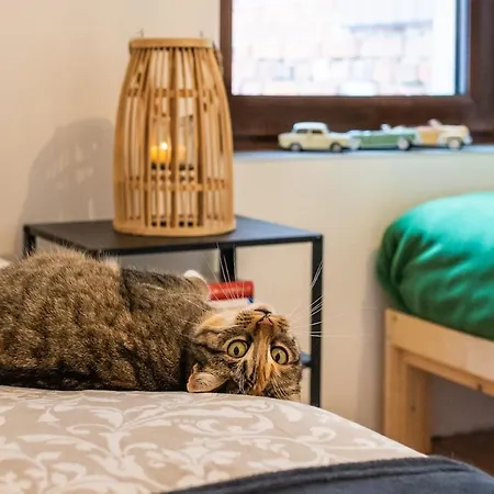 Casa vacanze Swietego Jozefa Chrzypsko Wielkie