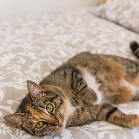 świętego Józefa Chrzypsko Wielkie