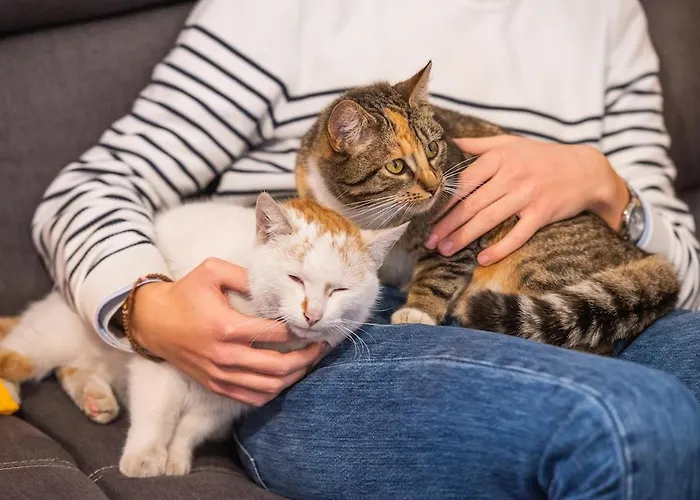 Swietego Jozefa Chrzypsko Wielkie