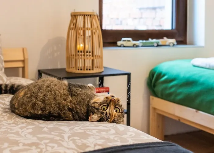 Casa vacanze Swietego Jozefa Chrzypsko Wielkie