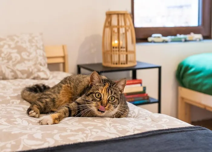 Swietego Jozefa Chrzypsko Wielkie