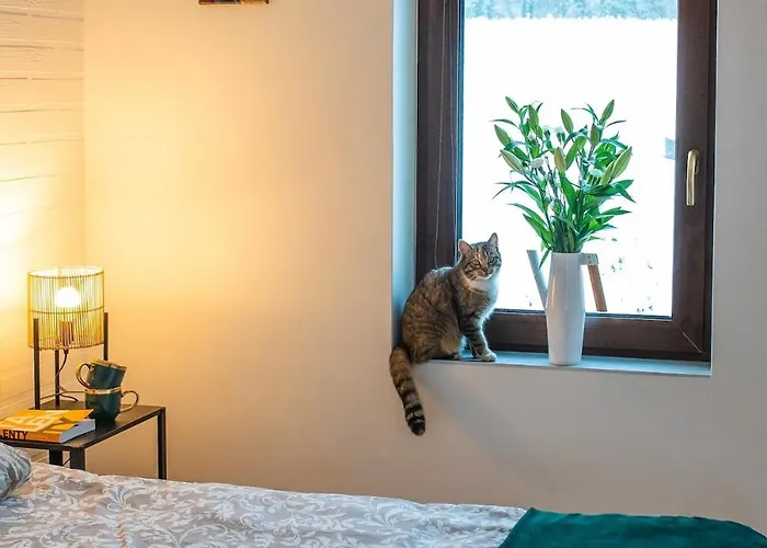 Hébergement de vacances Swietego Jozefa Chrzypsko Wielkie