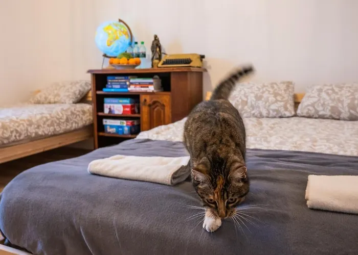 Swietego Jozefa Casa vacanze