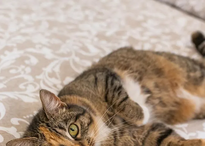 Swietego Jozefa Chrzypsko Wielkie